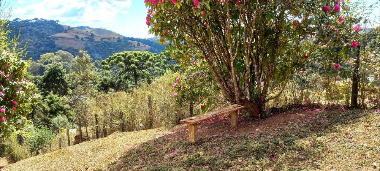 Campos do JordãoCasa Trilha别墅 外观 照片