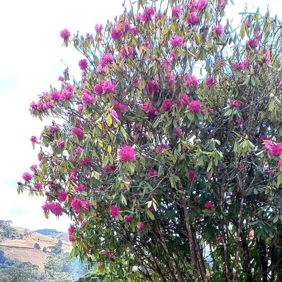 Campos do JordãoCasa Trilha别墅 外观 照片